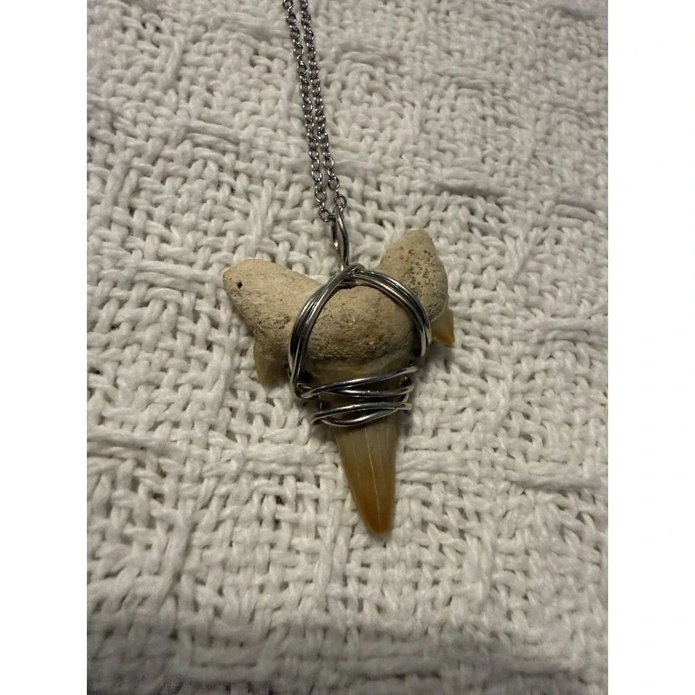 Fossil Sand Tiger Shark Tooth Wire-Wrapped Pendant Necklace